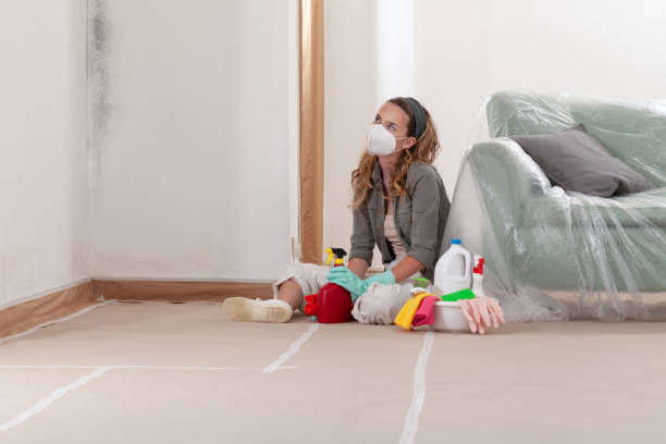 Reliable Black Mold Remediation contractor in Waverly, MN by Car Mold Remediation